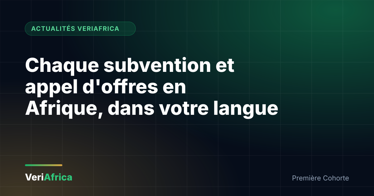 Blog Chaque subvention, appel d'offres et opportunité en Afrique, dans votre langue : rejoignez la Première Cohorte VeriAfrica
